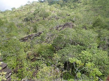 Serra das Andorinhas